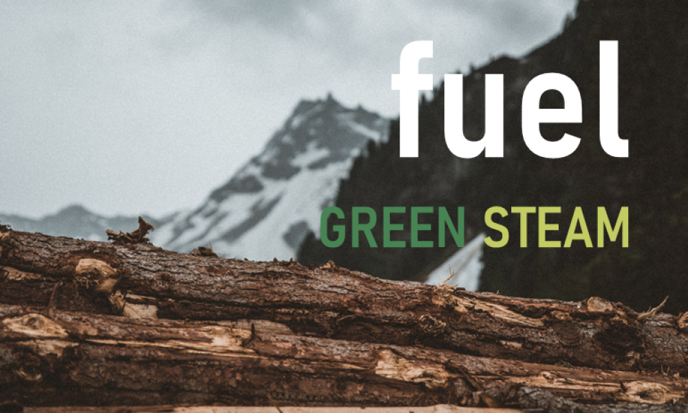 fuel_gs